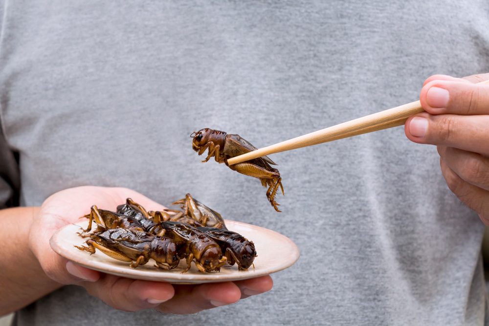 Chopsticks, Food, Food Presentation