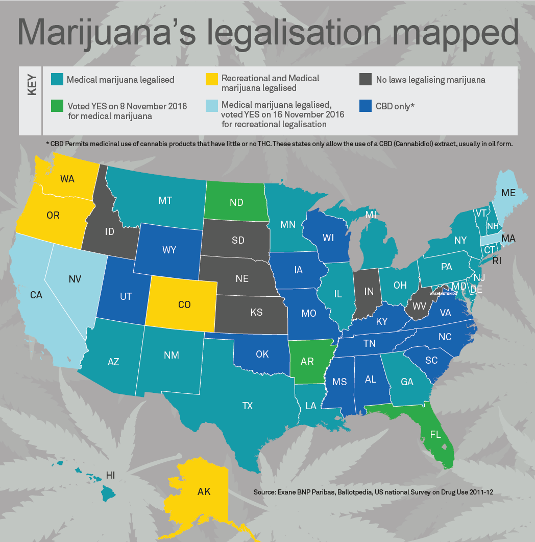 Marijuana infographic